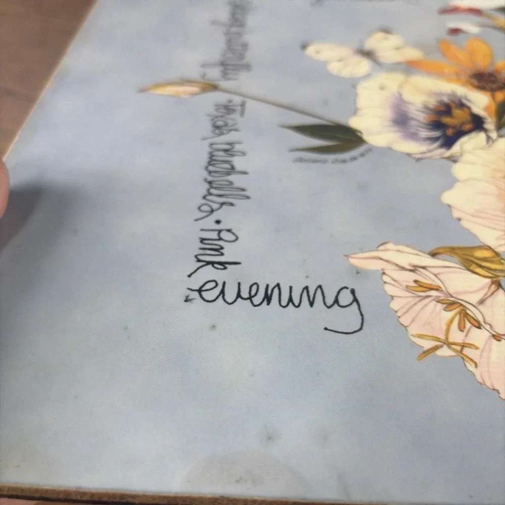 Pimpernel‎ Placemats (4) Southern Texas Wildflowers Wood Cork Used Cottagecore